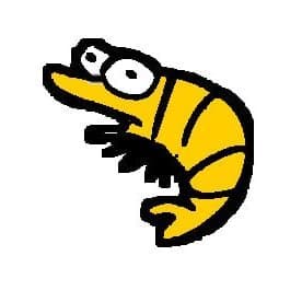 Before transformation